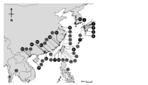 Sites at which coordinated counts of Black-faced Spoonbills were conducted between 1997 - 2014. (Figure from paper published in Bird Conservation International. Details are available in the published paper.)